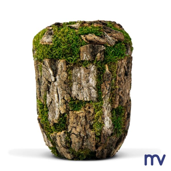 Morivita - Bio urne - Natuurlijke urn, kurkeik "boomlook" schors en Met de hand aangebracht mos